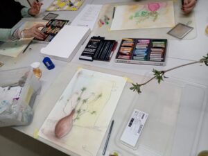 Read more about the article Kunst-Workshop Intuitive Zeichnen-Techniken