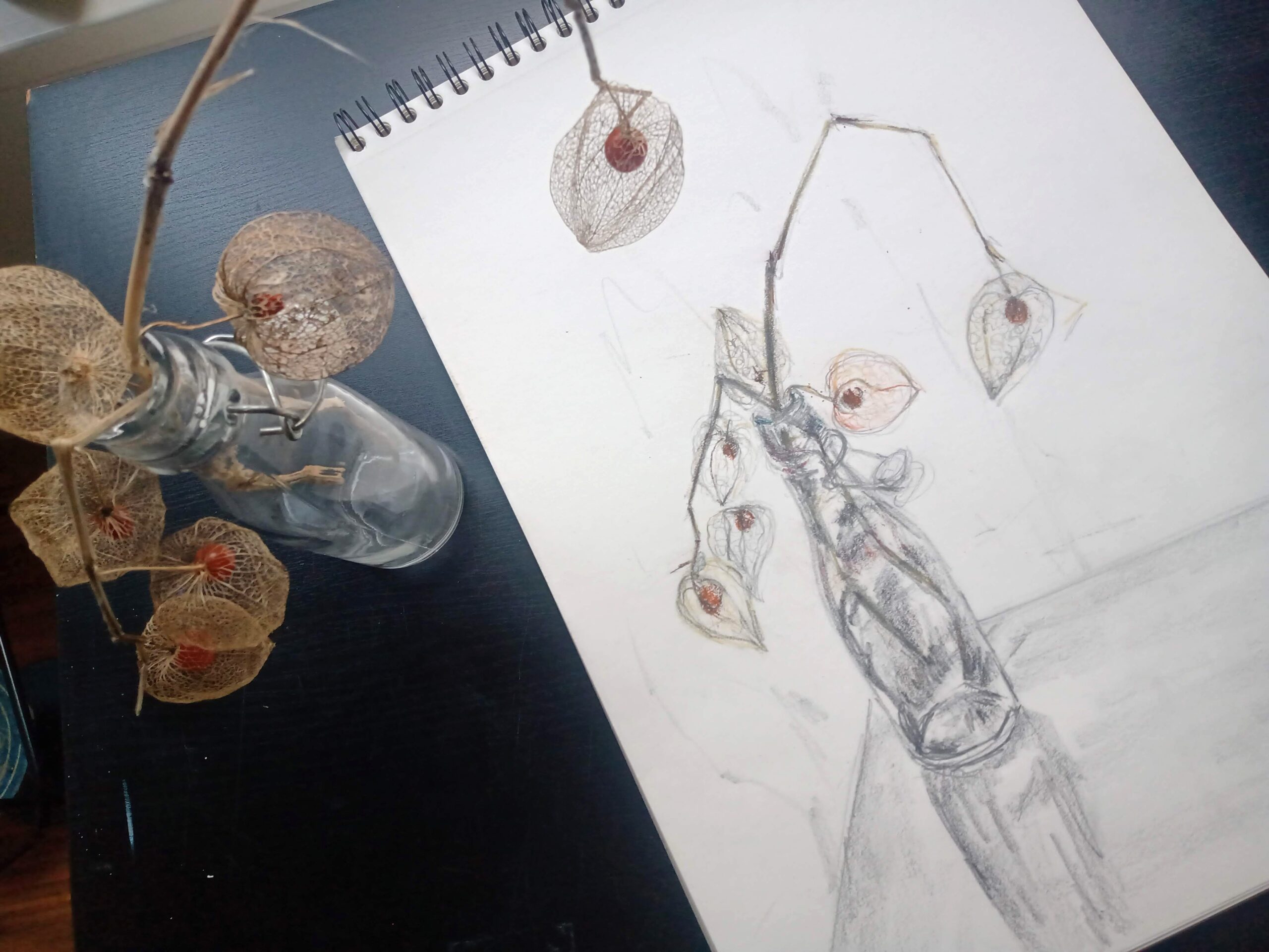 You are currently viewing Grundlagen des realistischen Zeichens